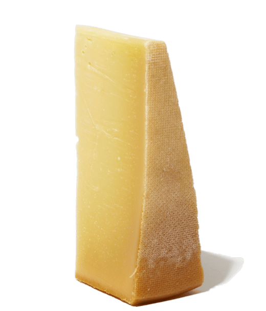 cheese